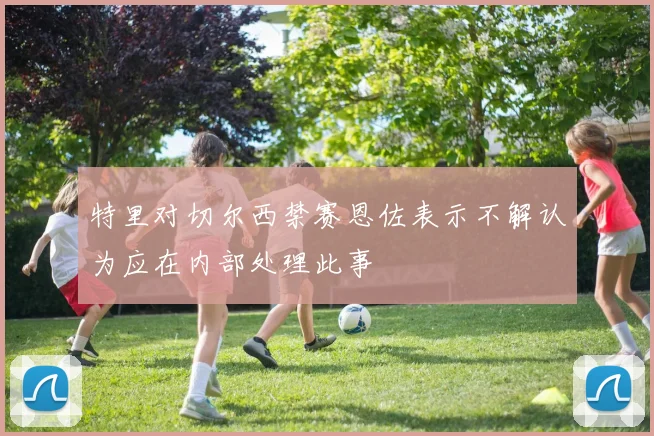 特里对切尔西禁赛恩佐表示不解认为应在内部处理此事